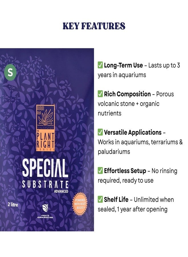 ركيزة خاصة من سلسلة "ذا بلانت رايت" | نباتات مائية نابضة بالحياة | الحل الأمثل لعشاق تنسيق أحواض السمك (2 لتر - صغير) - Image 4